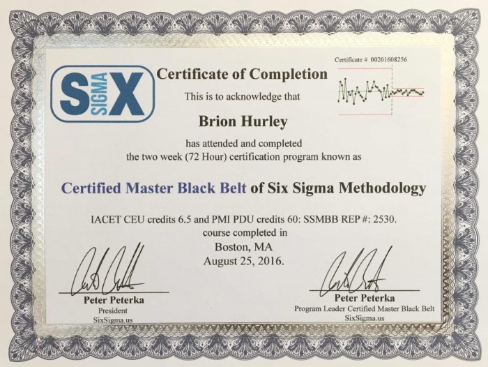 7828 geodir mentor mbb upload SixSigmaUS Six Sigma Master Black Belt 2016 sm
