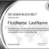Six Sigma Black Belt: Standard Exam (Single Certification)