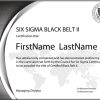 Six Sigma Black Belt Certification - Level II (Self-Paced Exam Series)