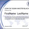 Lean Six Sigma Master Black Belt Certification (Self-Paced Exam Series)