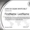 Lean Six Sigma White Belt: Standard Exam (Single Certification)