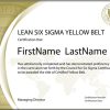 Lean Six Sigma Yellow Belt: Standard Exam (Single Certification)