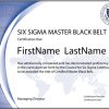 Six Sigma Master Black Belt Certification (Standard Exam Series)