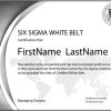 Six Sigma White Belt: Standard Exam (Single Certification)