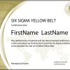 Six Sigma Yellow Belt: Standard Exam (Single Certification)