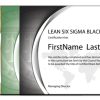 Lean Six Sigma Self-Paced Series (White, Yellow, Green, and Black Belt Certifications)